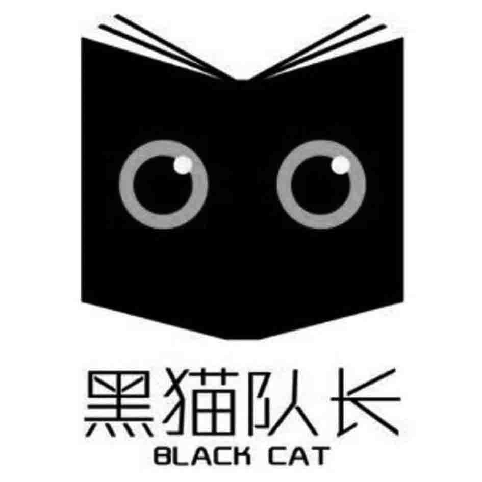 黑猫队长blackcat_企业商标大全_商标信息查询_爱企查