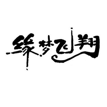 缘 em>梦 /em> em>飞翔 /em>