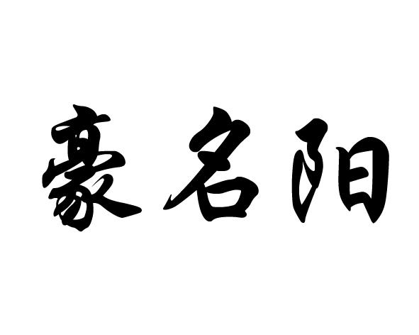 機構:深圳市安信德商標服務有限公司皓明悅商標註冊申請申請/註冊號