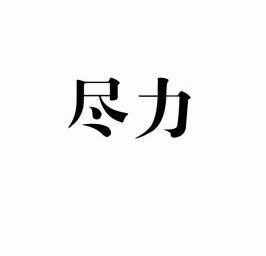 尽力- 商标 - 爱企查