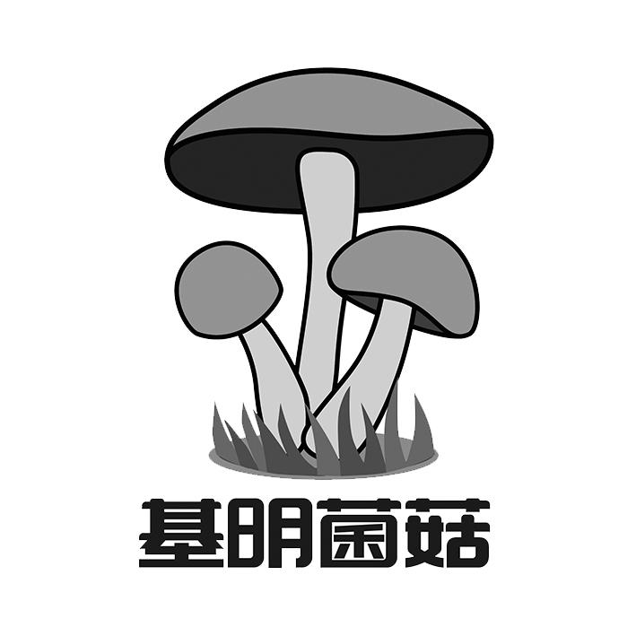  em>基明菌 /em> em>菇 /em>
