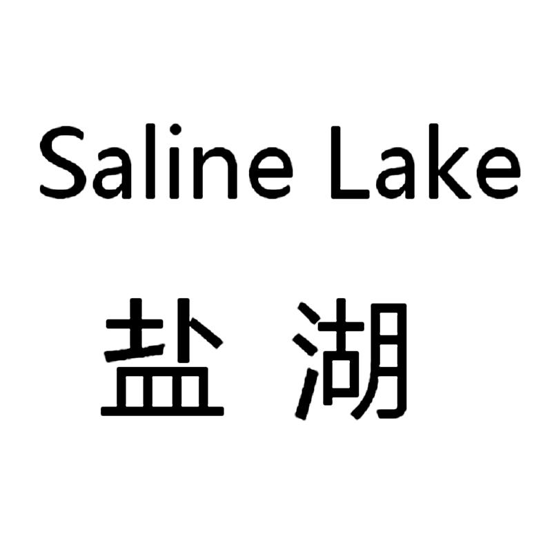 盐湖saline lake