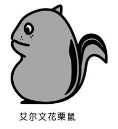  em>艾尔文 /em> em>花 /em> em>栗鼠 /em>