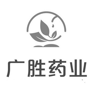 广胜药业 商标 爱企查