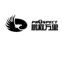  em>鹏程万里 /em> pr spect