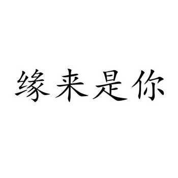 缘来是你                                  