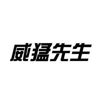 威猛先生 - 商标 - 爱企查