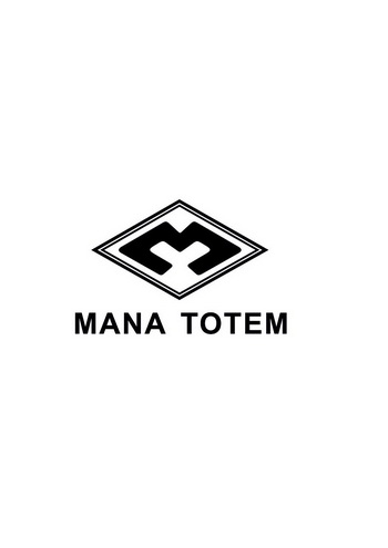 mana totem