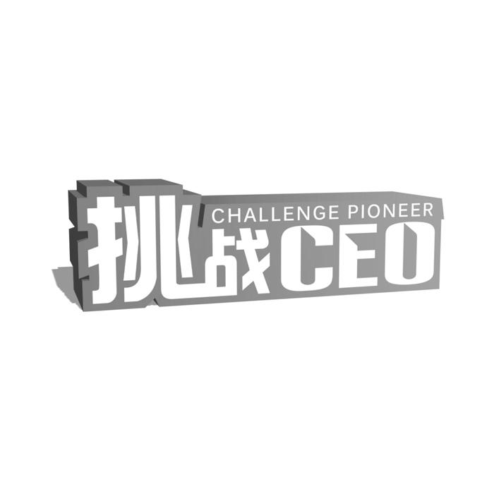 挑战 ceo challenge pioneer                