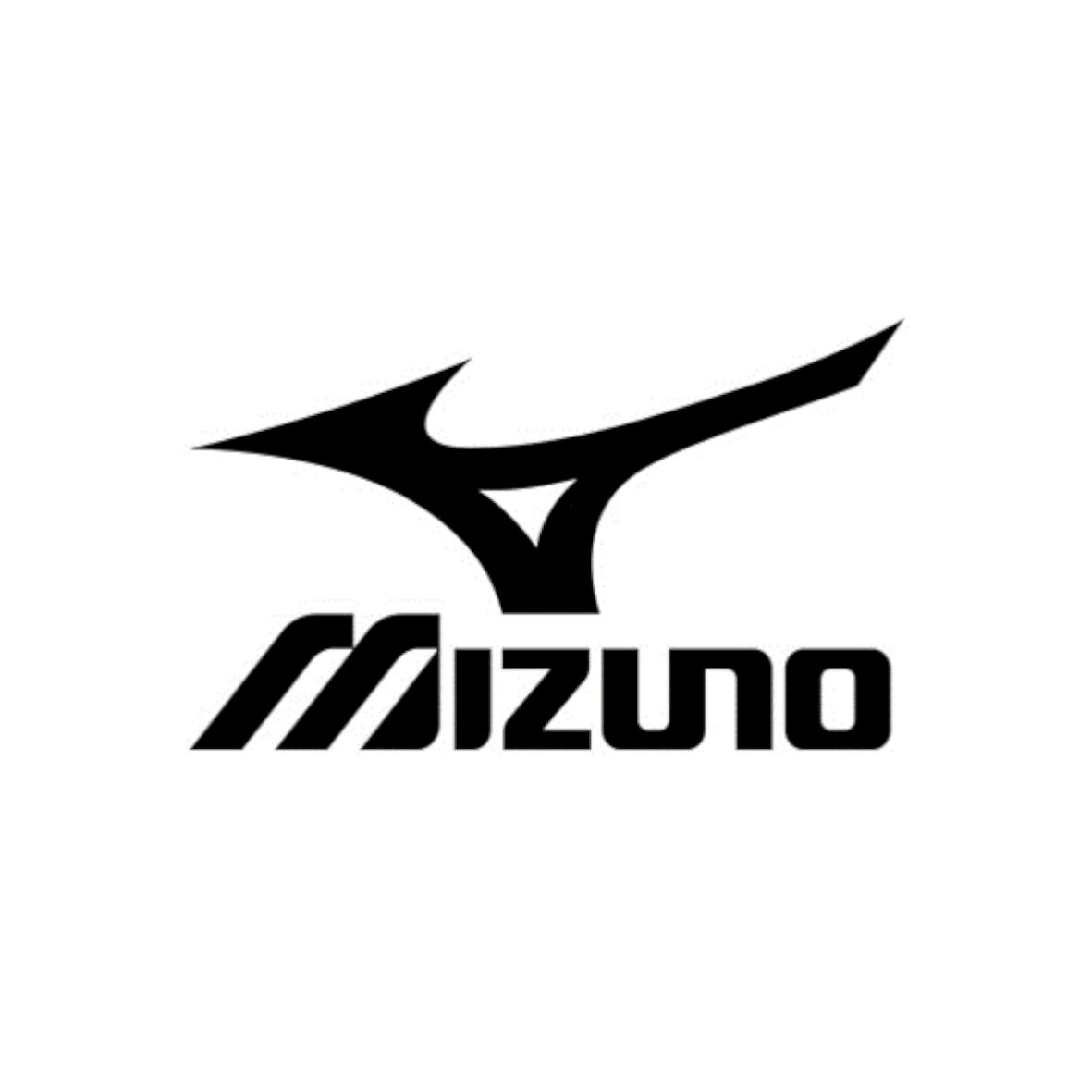  em>mizuno /em>