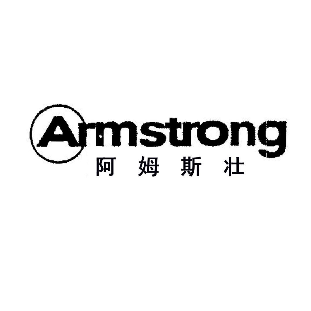  em>阿姆斯壮 /em>  em>armstrong /em>