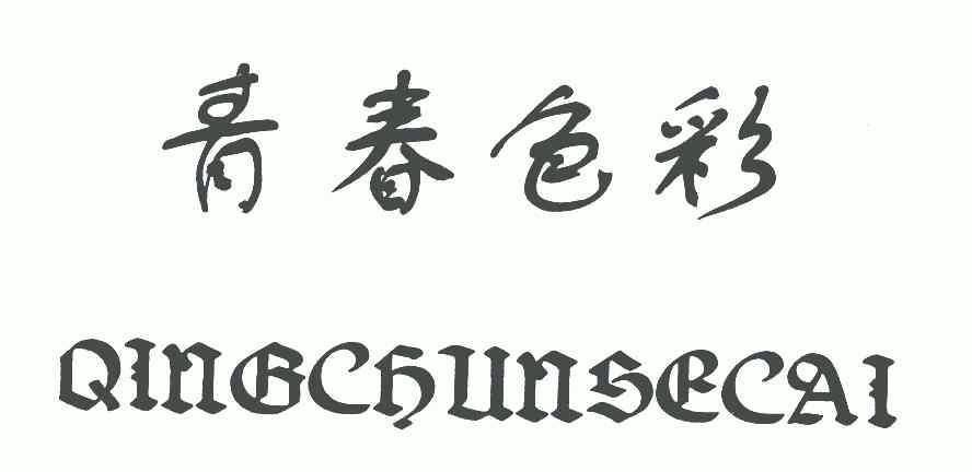 青春色彩