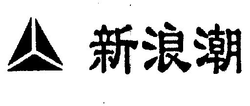 新浪潮                                    