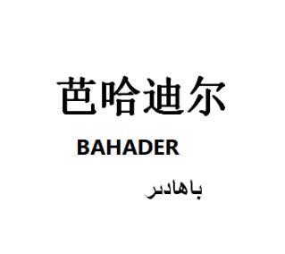 巴哈迪尔bahader - 企业商标大全 - 商标信息查询 - 爱企查