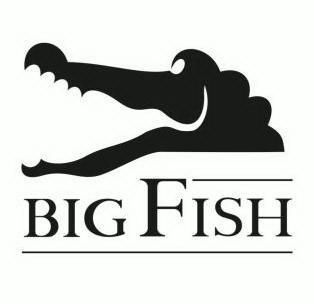 方便食品商标申请人:深圳市大鳄生物科技股份有限公司办理/代理机构