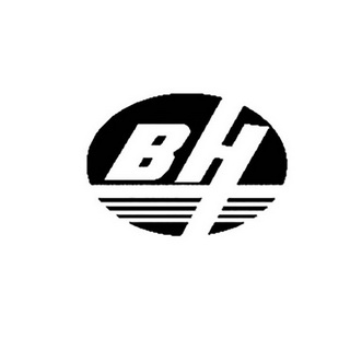 bh - 商标 - 爱企查