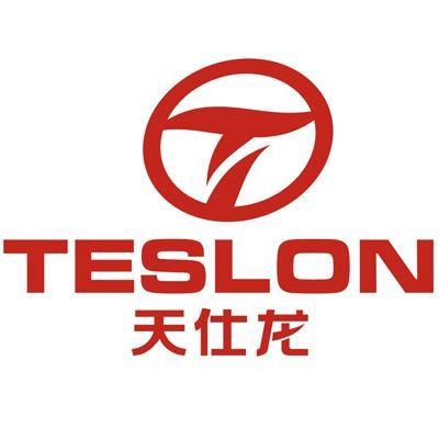 天仕龙 em>teslon/em>