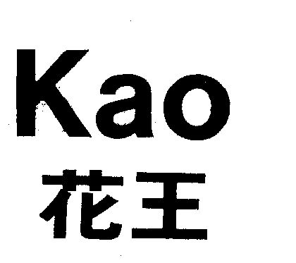  em>花王 /em>  em>kao /em>