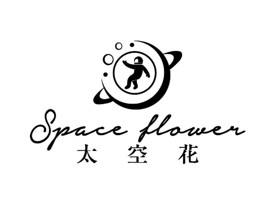  em>太空 /em> em>花 /em> space flower