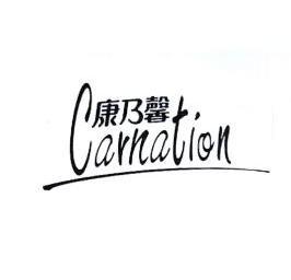 康乃馨 em>carnation /em>