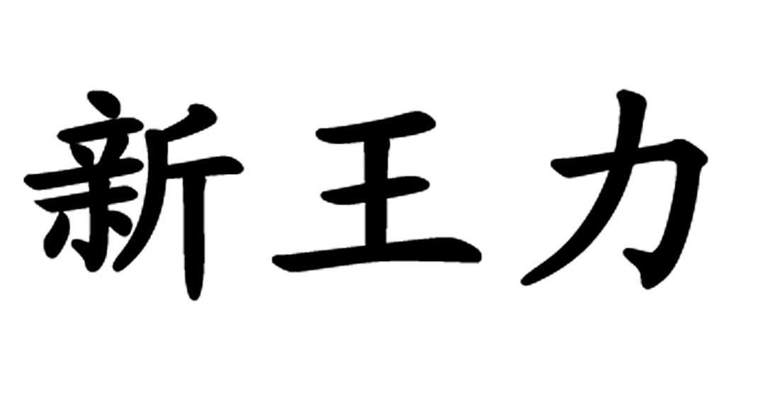 王力集团(王力集团松滋产业园)