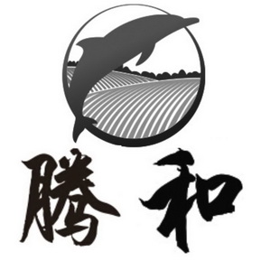  em>腾 /em> em>和 /em>