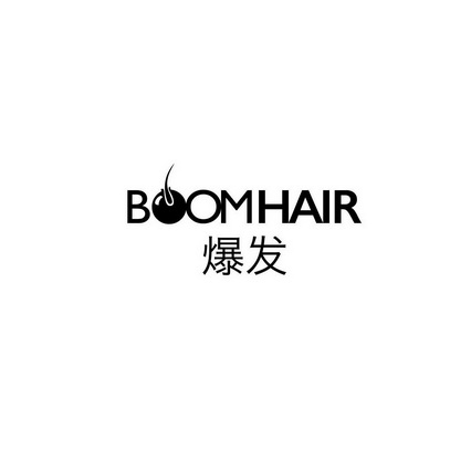 爆发  em>boom /em> em>hair /em>