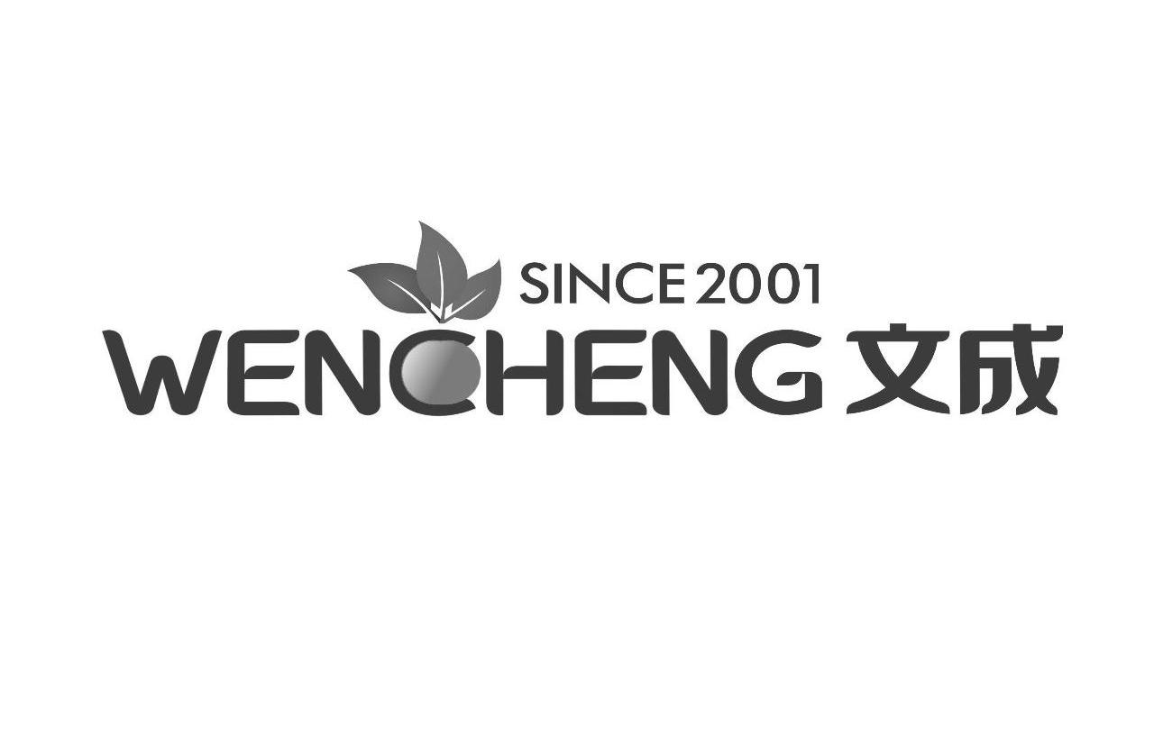  em>文成 /em>  em>since /em>  em>2001 /em>
