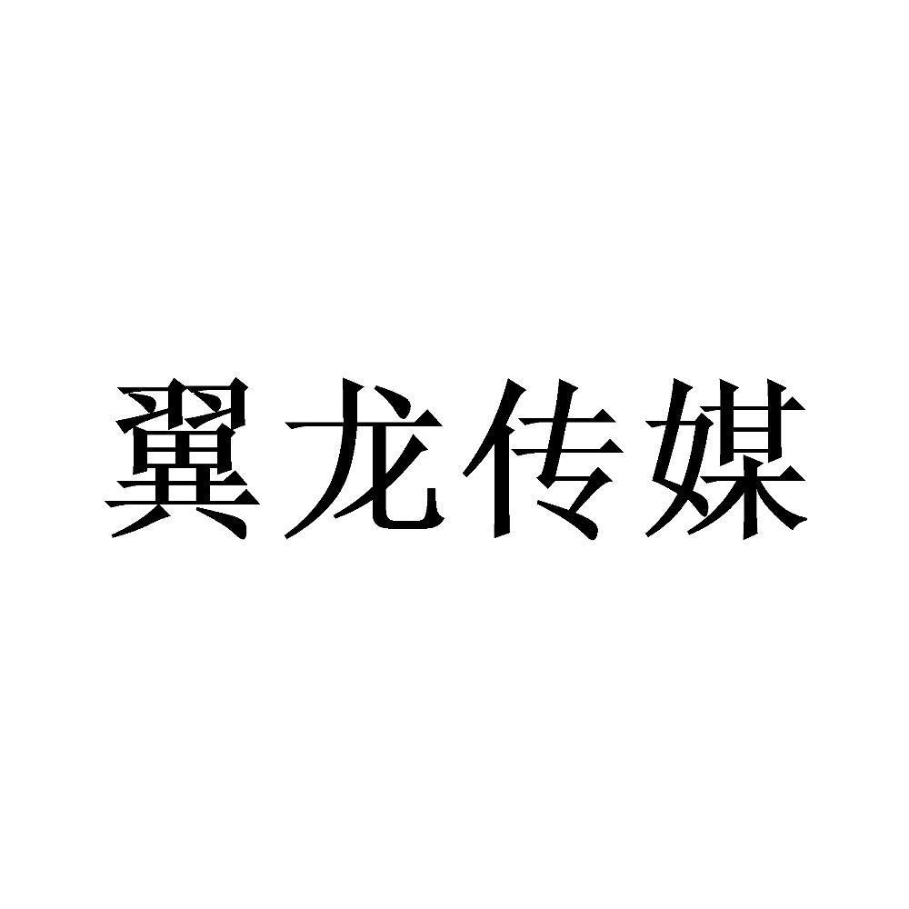 翼龙 em>传媒/em>