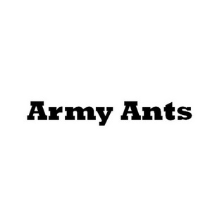 army ants