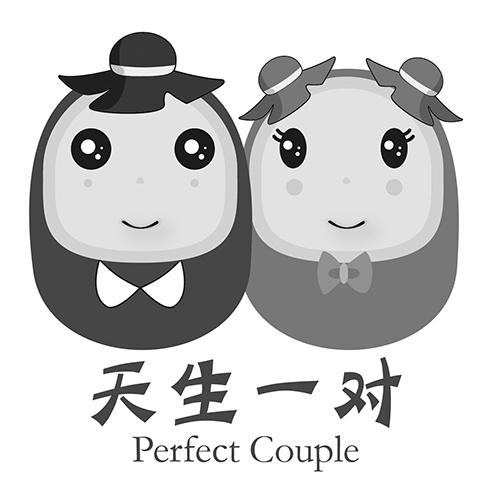 天生一对  em>perfect /em>  em>couple /em>