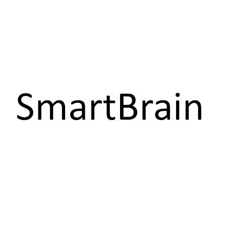 smartbrain公司图片