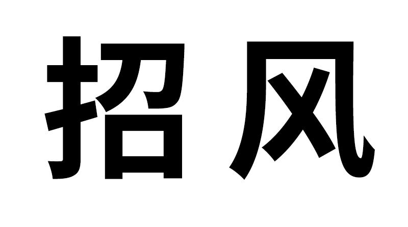 招风