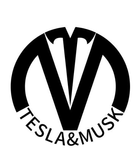 tesla musk