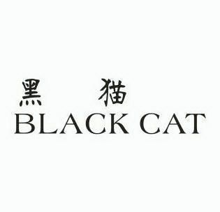 黑猫 black cat                           