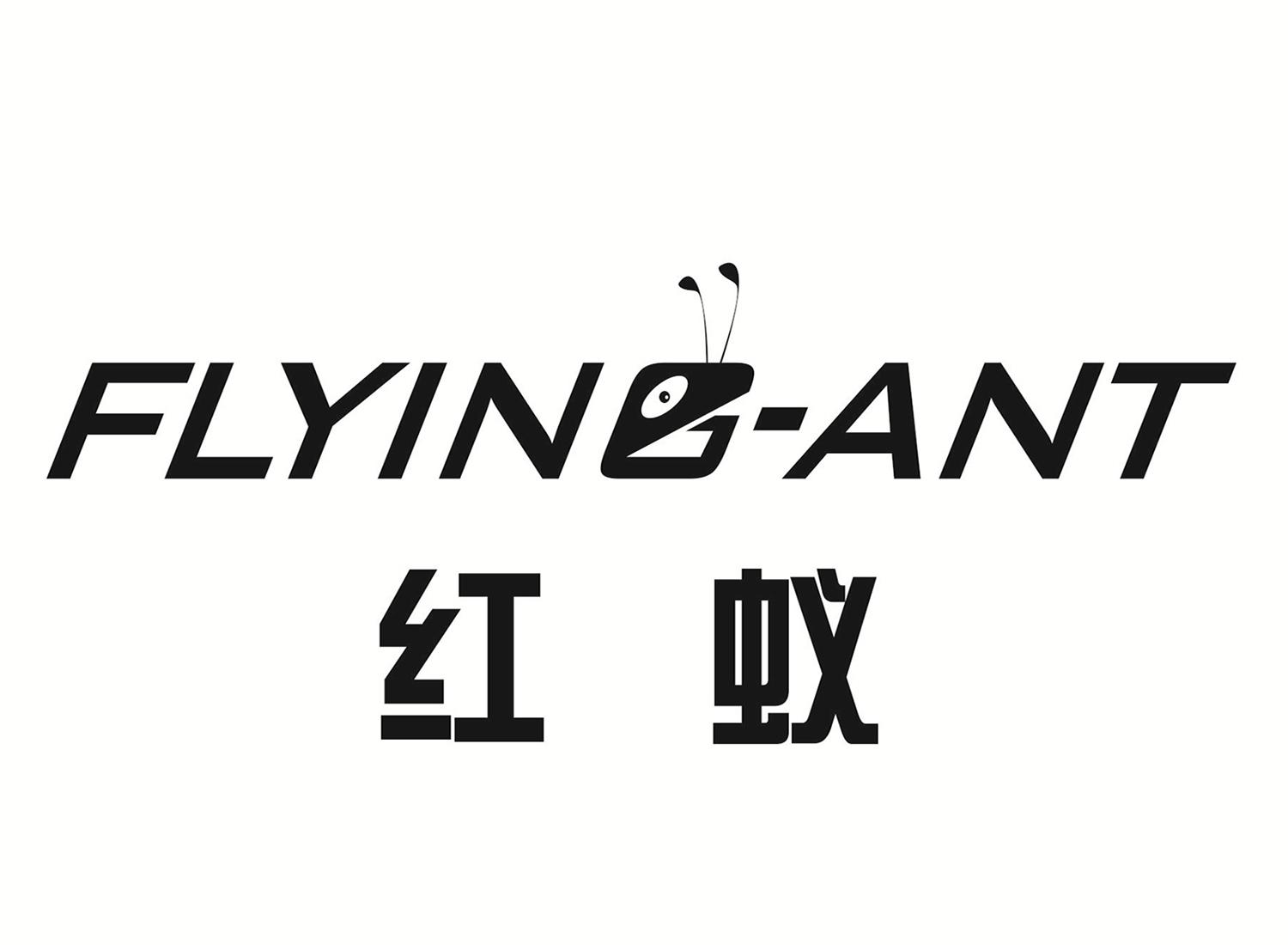  em>红蚁 /em>  em>flying /em>- em>ant /em>