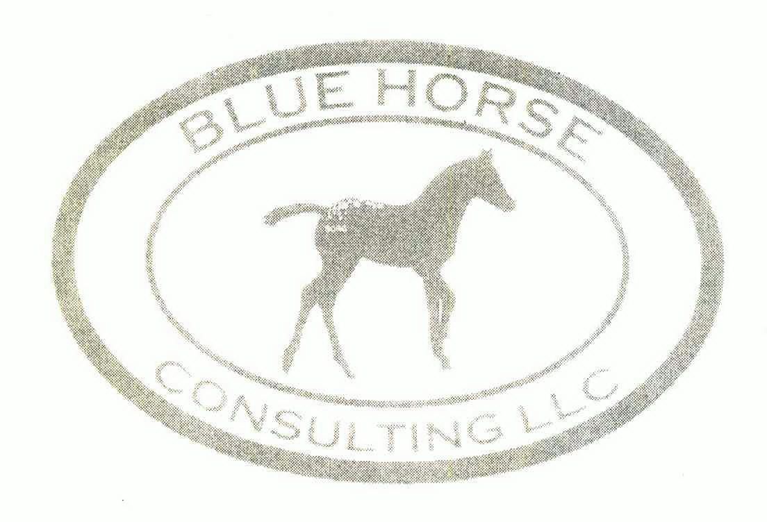  em>blue /em> em>horse /em>; em>consulting /em> em>llc /em>