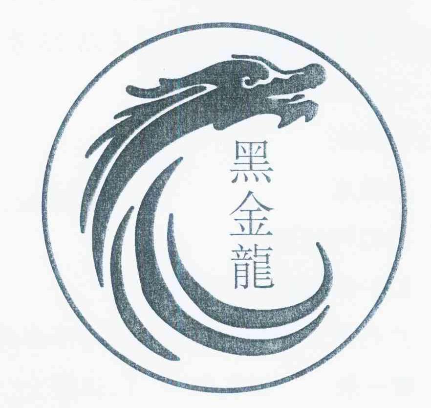 黑金龙                                    