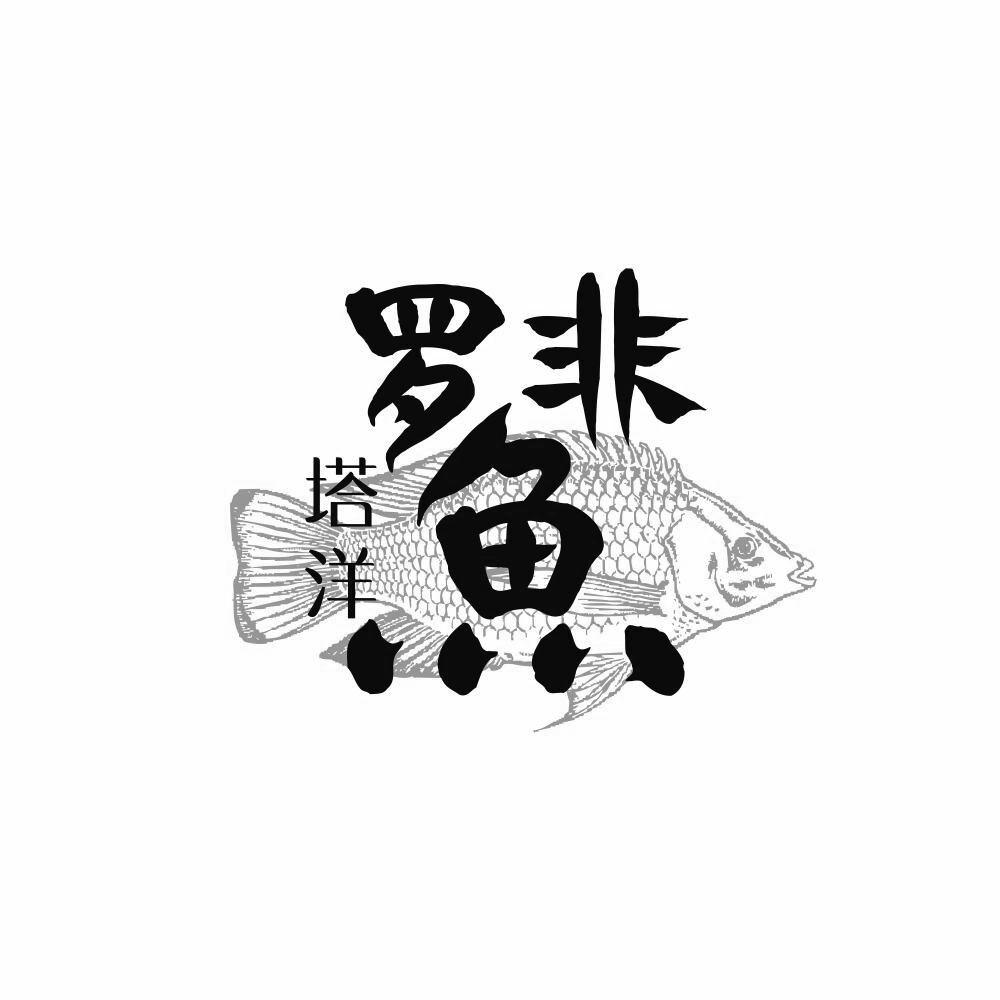  em>塔洋 /em> em>罗非鱼 /em>