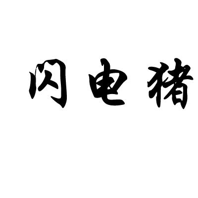  em>闪电 /em> em>猪 /em>