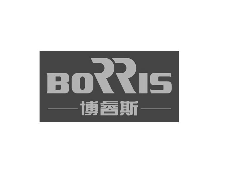 em>博睿斯/em borris