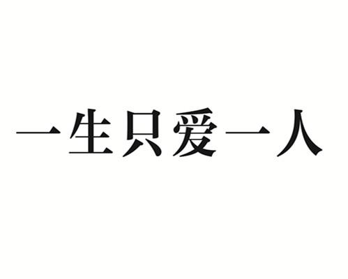 一生只爱一人                              