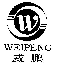 威鹏  em>w /em>
