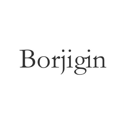 BORJIGIN - 商标 - 爱企查