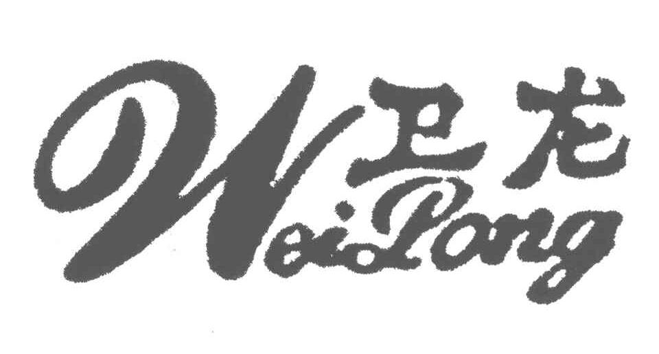  em>卫龙 /em>;wei long