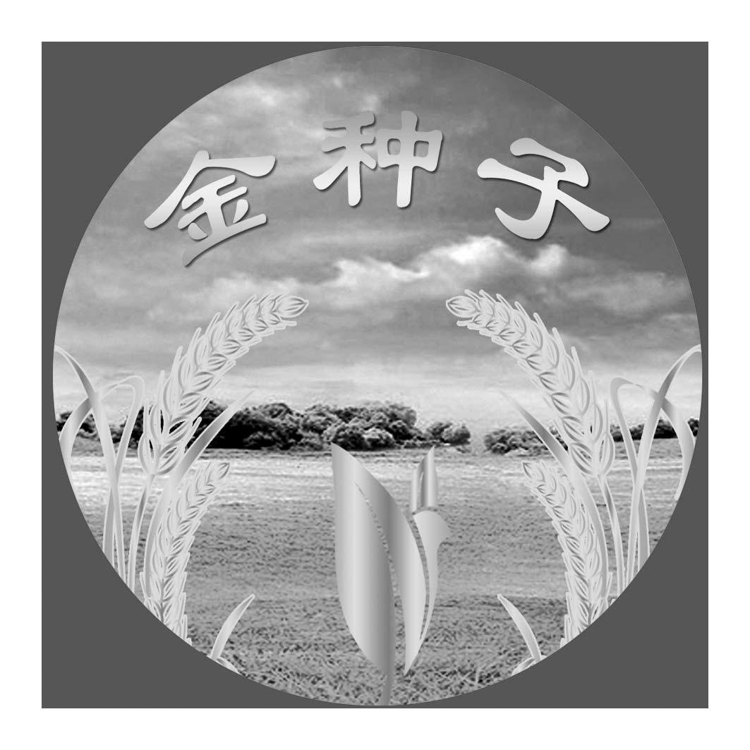 金种子