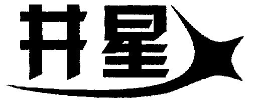 em>井星 /em>