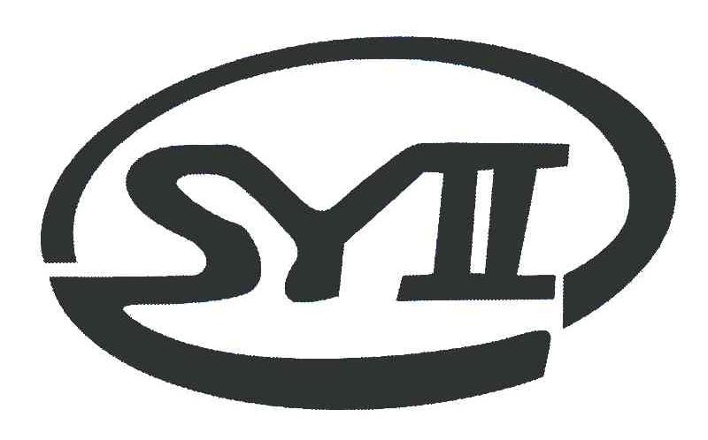  em>sy /em> em>Ⅱ /em>