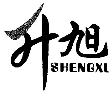 升旭;sheng xu