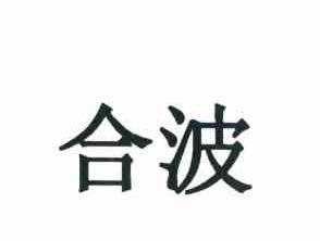 第40类-材料加工商标申请人:浙江合波光学科技有限公司办理/代理机构